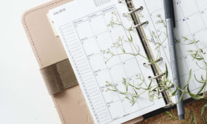 A planner with a calendar opened to July 2018 with a pen a sprig of leaves on it.