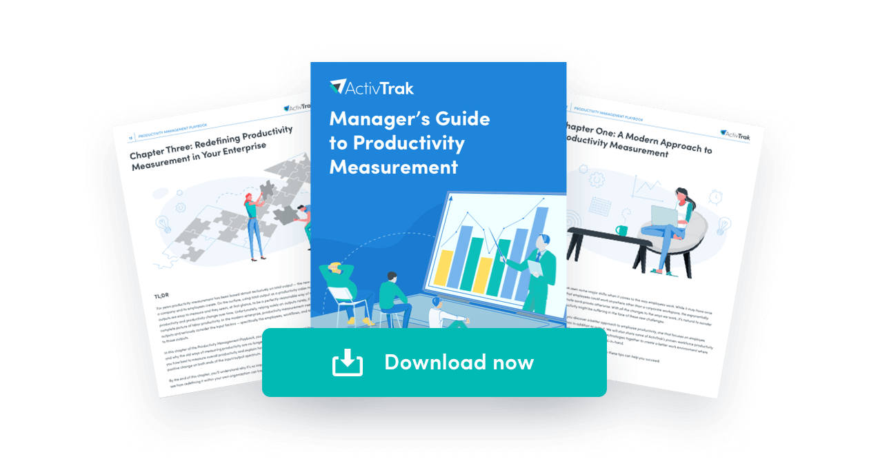 Managers Guide to Productivity Measurement - fanned out pages and download now button