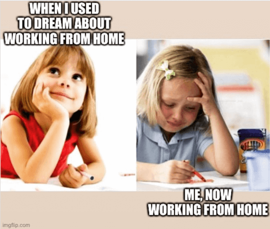 The 10 Best Work From Home Memes Of 21 Activtrak